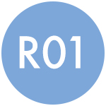 R01 icon